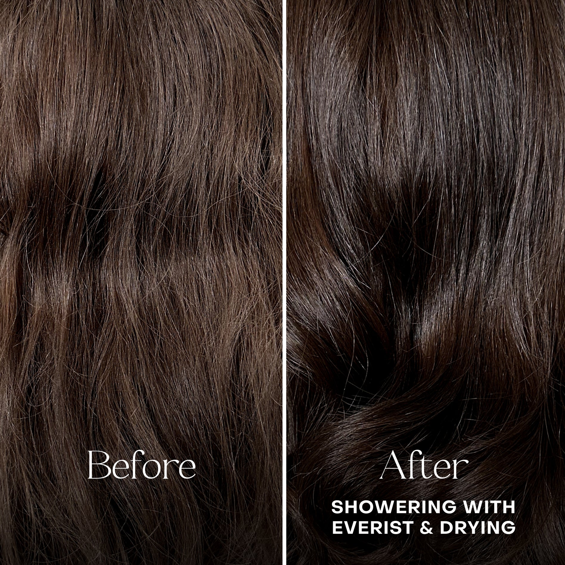 Everist - The Deep Conditioning Concentrate