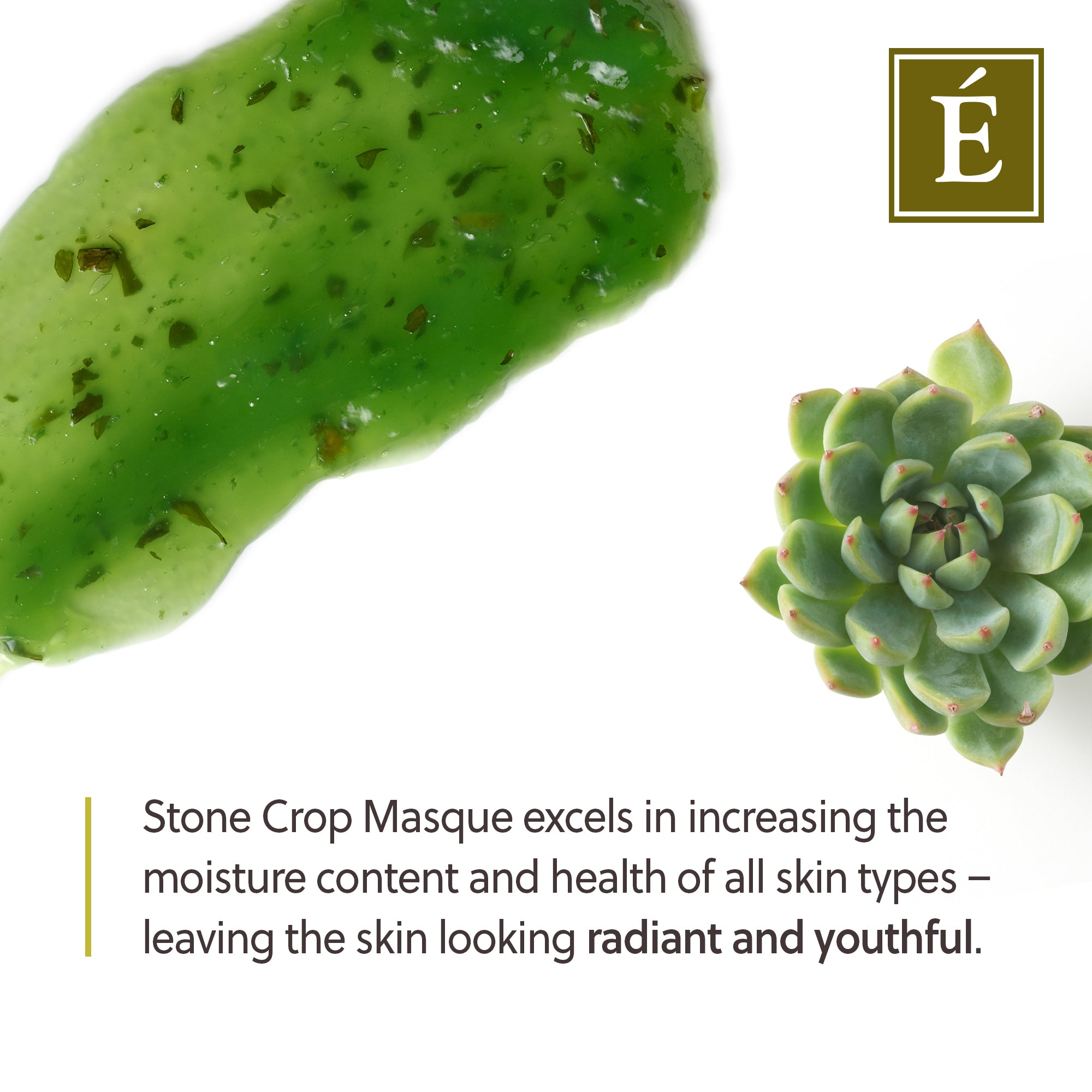 Eminence Organics Stone Crop Masque