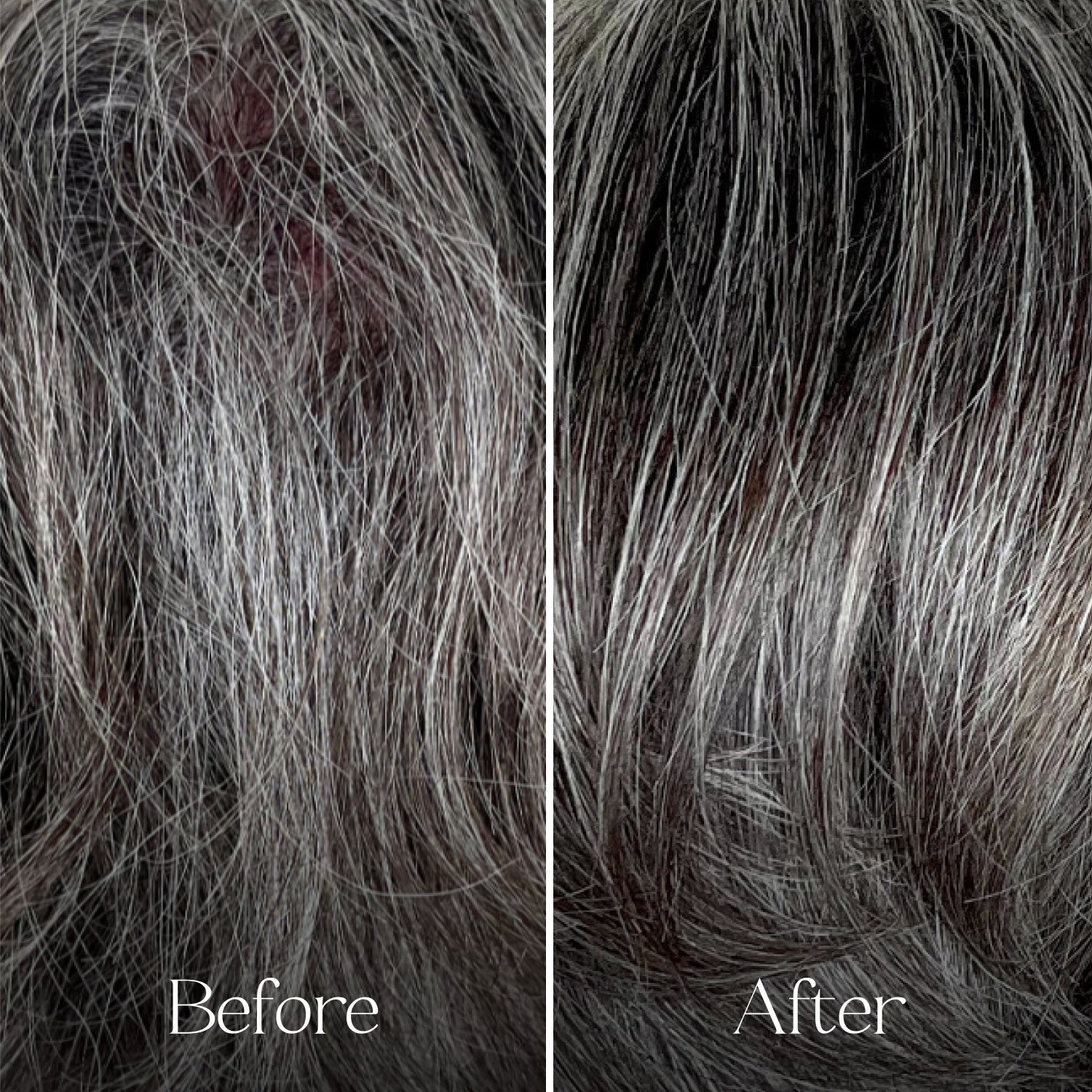 Everist - The Holiday Bonbon (limited edition)