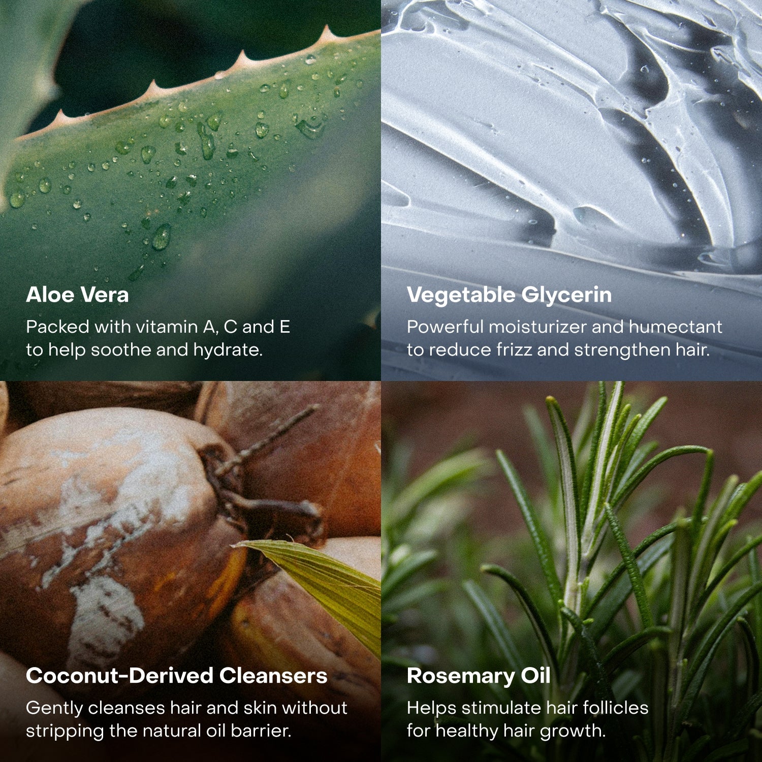 Everist - The Holiday Bonbon (limited edition)