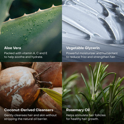 Everist - The Holiday Bonbon (limited edition)