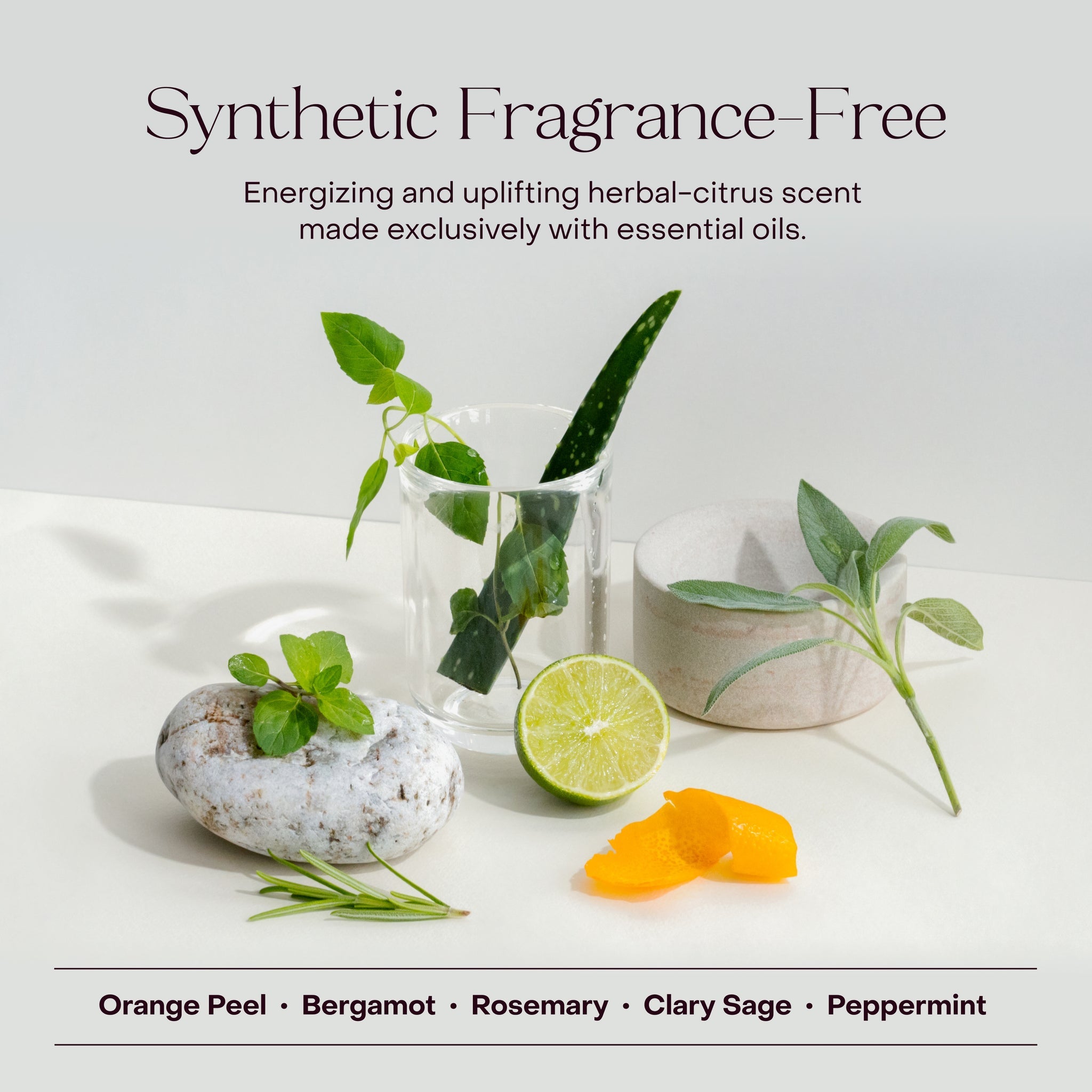 Everist - Exfoliating Body Wash Concentrate