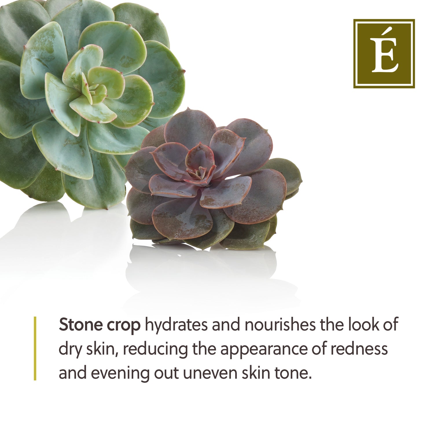 Eminence Organics Stone Crop Gel Wash